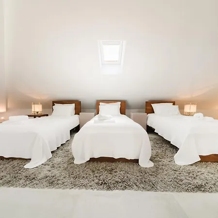 Luxurious Wine Country - Near Lisbon Alenquer