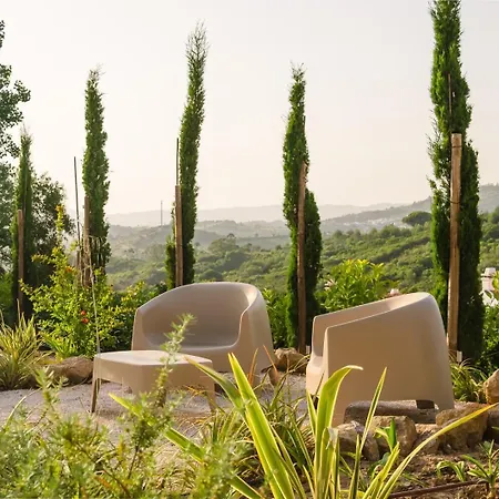 Acacias - Boutique In Wine Country Βίλα Alenquer